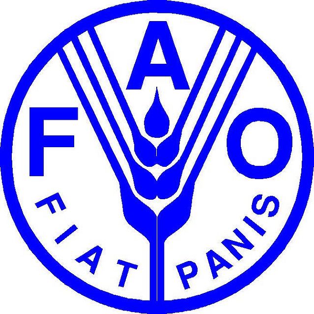 World food prices ease in Dec, but hit 10-year peak in 2021: FAO