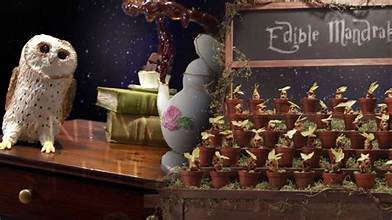 Harry Potter: Wizards of Baking – A Magical Culinary Show Premiering Nov. 14