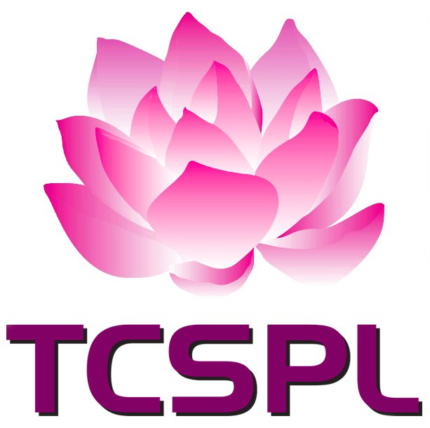 TANVI CONSULTANCY SERVICES PVT LTD