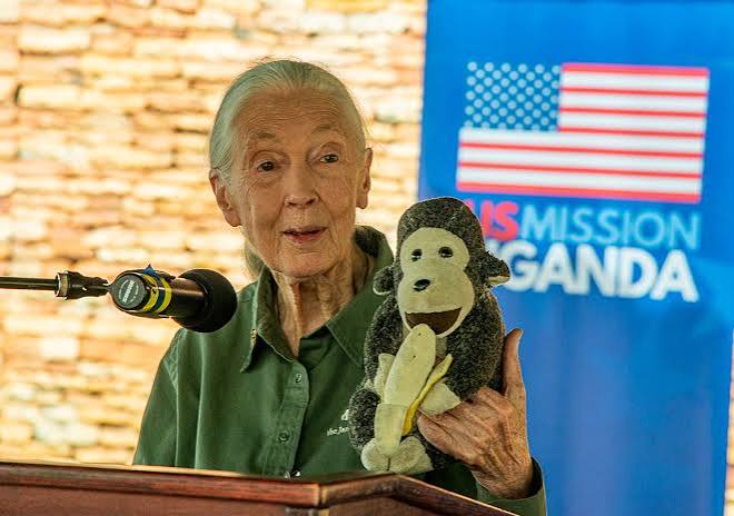 Jane Goodall